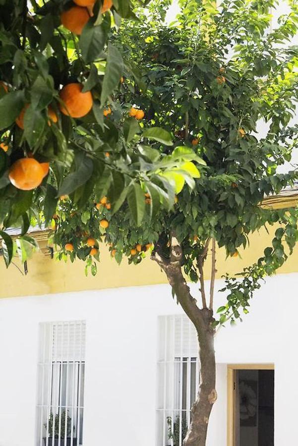 Apartamento Costasol Κόρδοβα Εξωτερικό φωτογραφία